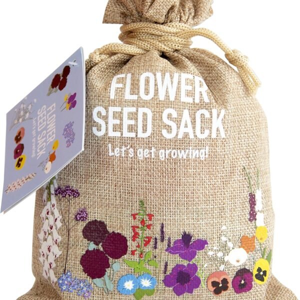 Scott Co Flower Seed Kit